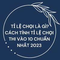 Tỉ lệ chọi là gì? Cách tính tỉ lệ chọi thi vào 10 chuẩn nhất