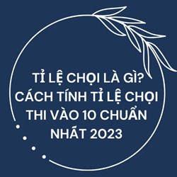 Tỉ lệ chọi là gì? Cách tính tỉ lệ chọi thi vào 10 chuẩn nhất