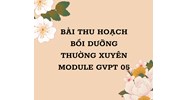 Bài thu hoạch bồi dưỡng thường xuyên Module GVPT 05 mới nhất