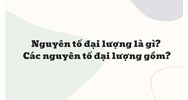 Nguyên tố đại lượng là gì? Các nguyên tố đại lượng gồm?