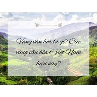 Vùng văn hóa là gì? Các vùng văn hóa ở Việt Nam hiện nay?