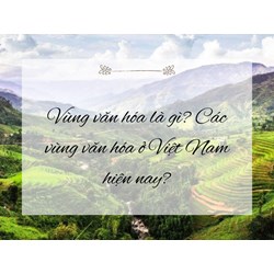 Vùng văn hóa là gì? Các vùng văn hóa ở Việt Nam hiện nay?