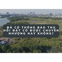 Đã có thông báo thu hồi đất có được chuyển nhượng hay không?