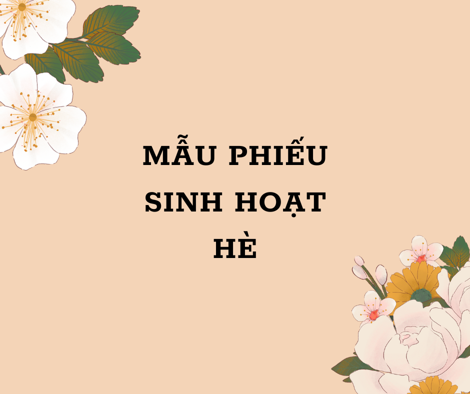 Cách đánh giá và xử lý các vấn đề phát sinh trong quá trình sinh hoạt hè?