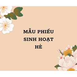 Mẫu phiếu sinh hoạt hè cập nhật đầy đủ, chi tiết nhất