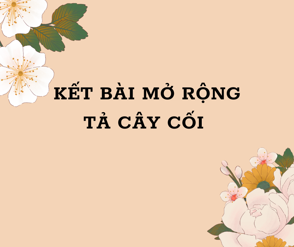 Kết Bài Mở Rộng Tả Cây Phượng - Khám Phá Ý Nghĩa Và Kỷ Niệm Từ Cây Phượng