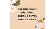 Bài thu hoạch bồi dưỡng thường xuyên module GVMN 5 mới nhất