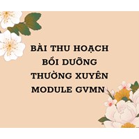 Bài thu hoạch bồi dưỡng thường xuyên module GVMN 5 mới nhất