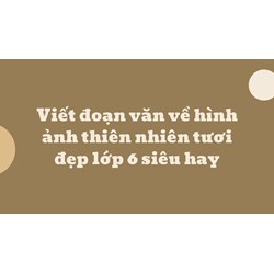 Viết đoạn văn về hình ảnh thiên nhiên tươi đẹp lớp 6 siêu hay