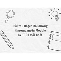 Bài thu hoạch bồi dưỡng thường xuyên Module GVPT 01 mới nhất