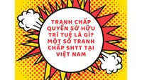 Tranh chấp quyền sở hữu trí tuệ là gì? Một số tranh chấp SHTT tại Việt Nam
