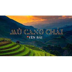 Thuyết minh về ruộng bậc thang Mù Cang Chải chọn lọc hay nhất