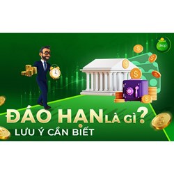 Cho vay tiền đi đáo hạn ngân hàng nhưng không trả có phải lừa đảo chiếm đoạt tài sản hay không?