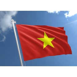 Quyền sở hữu trí tuệ về Quốc kỳ, Quốc huy, Quốc ca tại Việt Nam như thế nào?