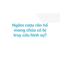 Ngâm rượu rắn hổ mang chúa có bị truy cứu hình sự?
