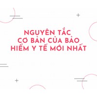 Nguyên tắc cơ bản của bảo hiểm y tế theo quy định mới nhất