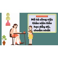 Mô tả công việc Giáo viên tiểu học đầy đủ, chuẩn nhất