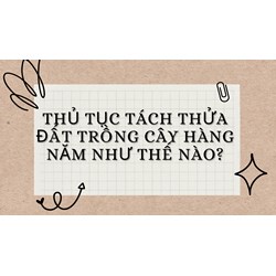 Thủ tục tách thửa đất trồng cây hàng năm như thế nào?