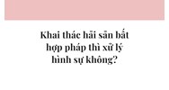 Khai thác hải sản bất hợp pháp thì xử lý hình sự không?