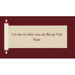 Cơ cấu tổ chức của các Bộ tại Việt Nam