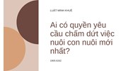 Ai có quyền yêu cầu chấm dứt việc nuôi con nuôi mới nhất?