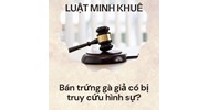Bán trứng gà giả có bị truy cứu hình sự?