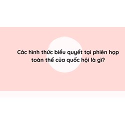 Các hình thức biểu quyết tại phiên họp toàn thể của Quốc hội là gì?