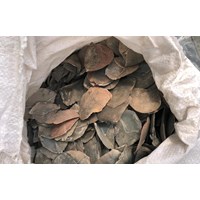 Mua vảy tê tê về bán kiếm lời có bị xử lý hình sự?