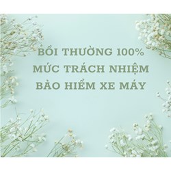 Khi nào được bồi thường 100% mức trách nhiệm bảo hiểm xe máy?