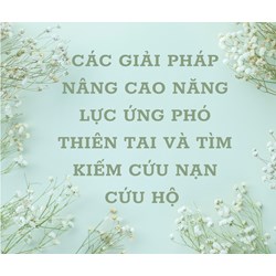 Giải pháp nâng cao năng lực ứng phó thiên tai và tìm kiếm cứu nạn