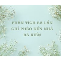 Phân tích ba lần Chí Phèo đến nhà Bá Kiến chọn lọc hay nhất