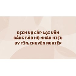 Dịch vụ cấp lại văn bằng bảo hộ nhãn hiệu uy tín,chuyên nghiệp