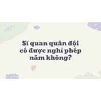 Sĩ quan quân đội có được nghỉ phép năm không?