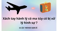 Xách tay hành lý có ma túy có bị xử lý hình sự ?