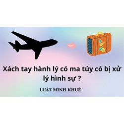 Xách tay hành lý có ma túy có bị xử lý hình sự ?