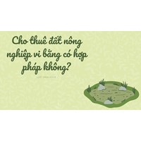 Cho thuê đất nông nghiệp vi bằng có hợp pháp không?
