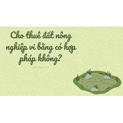 Cho thuê đất nông nghiệp vi bằng có hợp pháp không?