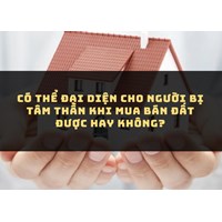 Có thể đại diện cho người bị tâm thần khi mua bán đất được hay không?