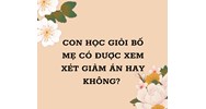 Con học giỏi bố mẹ có được xem xét giảm án hay không?