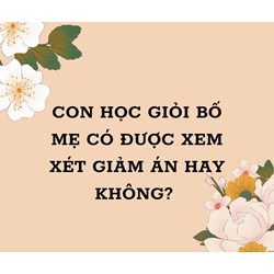 Con học giỏi bố mẹ có được xem xét giảm án hay không?