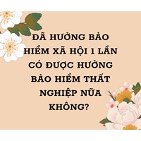 Đã nhận BHXH 1 lần có được hưởng bảo hiểm thất nghiệp nữa không?