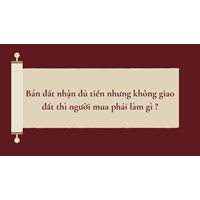 Bán đất nhận đủ tiền nhưng không giao đất thì người mua phải làm gì?