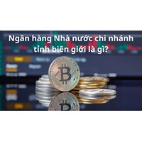 Ngân hàng Nhà nước chi nhánh tỉnh biên giới là gì?
