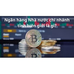 Ngân hàng Nhà nước chi nhánh tỉnh biên giới là gì?
