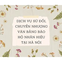 Dịch vụ sửa đổi, chuyển nhượng văn bằng bảo hộ nhãn hiệu tại Hà Nội