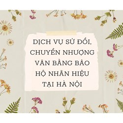 Dịch vụ sửa đổi, chuyển nhượng văn bằng bảo hộ nhãn hiệu tại Hà Nội