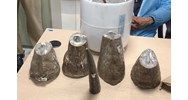 Vận chuyển trái phép sừng tê giác một sừng bị xử phạt như thế nào?