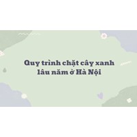 Quy trình chặt cây xanh lâu năm ở Hà Nội
