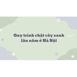 Quy trình chặt cây xanh lâu năm ở Hà Nội