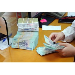Chiếm đoạt tiền nhà đầu tư đất đai xử lý hình sự như thế nào?